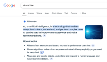 AI Overview SERP feature screenshot 