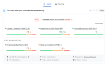 Google Page Speed Insights Screenshot