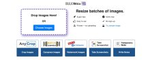 bulk resize